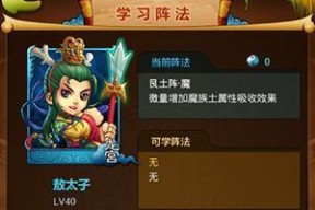 《龙将2》游戏中骑宠培养技巧大揭秘（从养成、装备到升级）