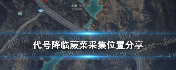 代号降临游戏中的食物采集攻略（如何在游戏中有效地采集到食物资源）  第1张