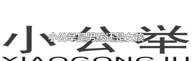 《QQ炫舞》金鱼小公举获取方法揭秘（教你如何轻松获得最新限量金鱼小公举）  第1张