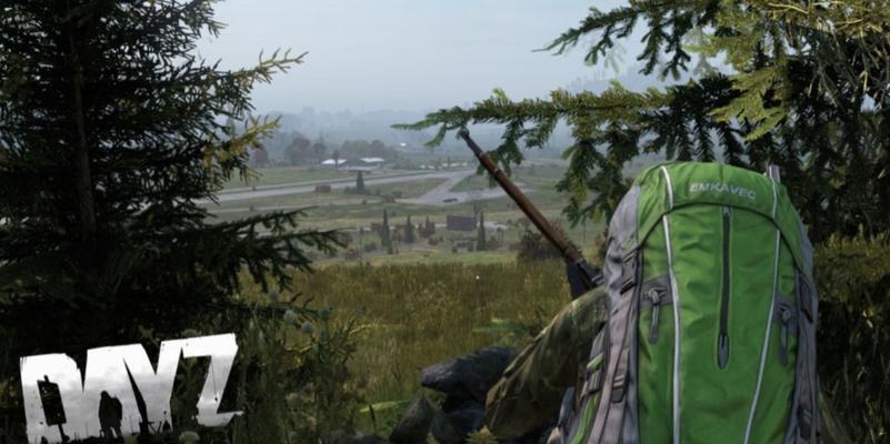 DayZ独立版新手指南（从零开始探索丧尸末世）  第2张